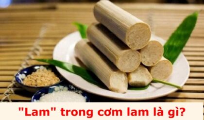 Tu lam trong com lam la gi Cach lam com Tu lam trong com lam la gi Cach lam com